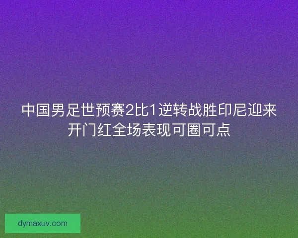 中国男足世预赛2比1逆转战胜印尼迎来开门红全场表现可圈可点
